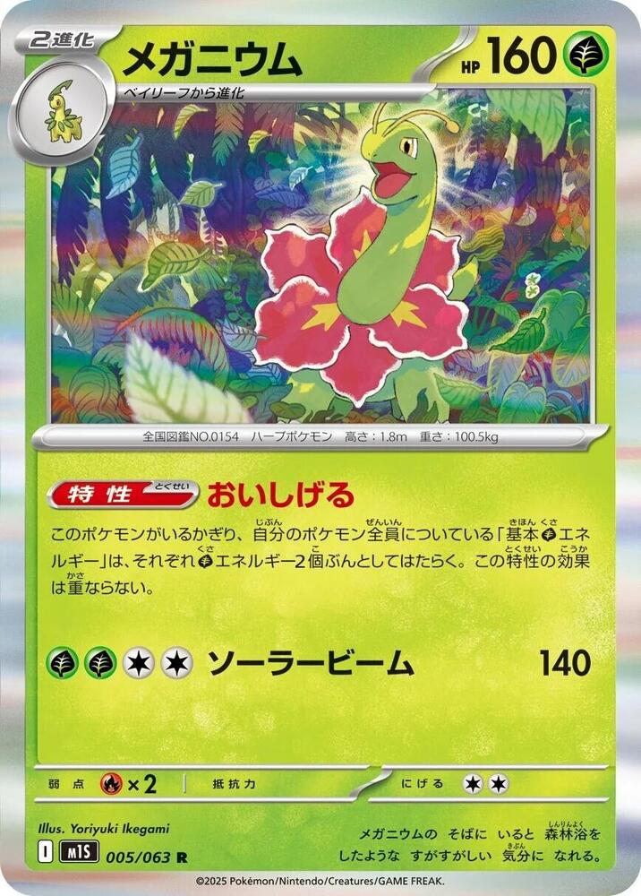 大竺葵