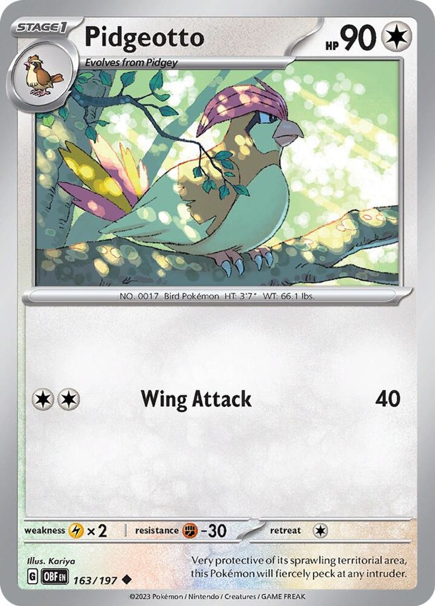 比比鳥