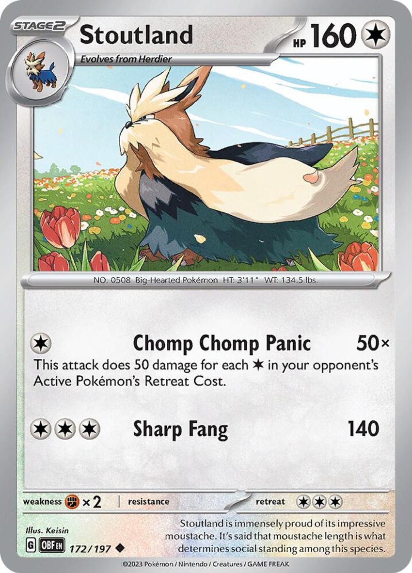 長毛狗
