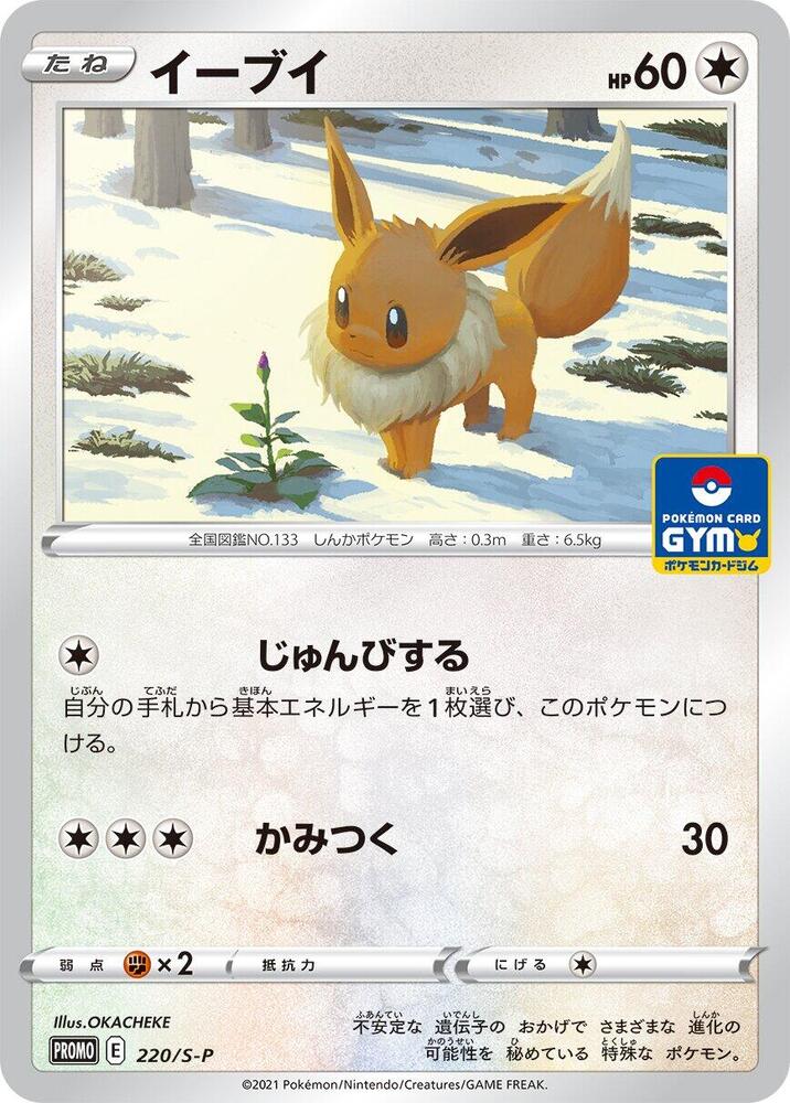 伊布