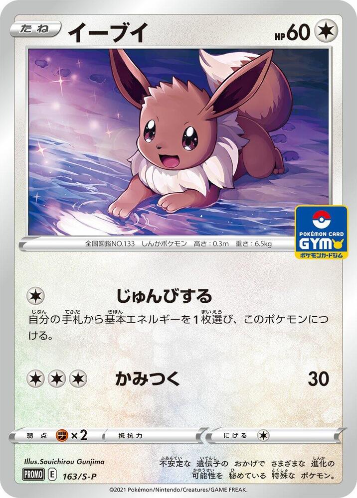 伊布