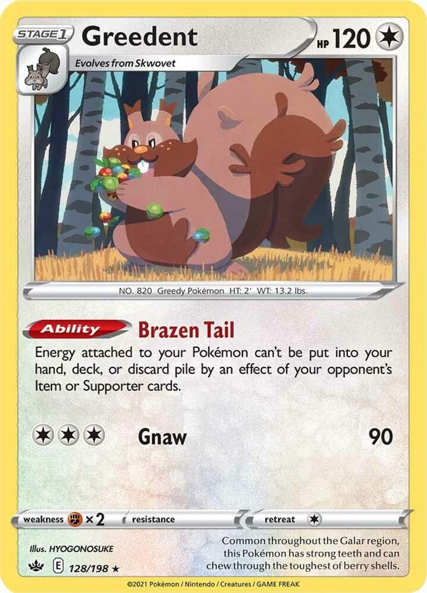 藏飽栗鼠