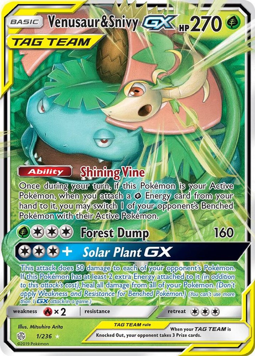 妙蛙花 & Snivy GX