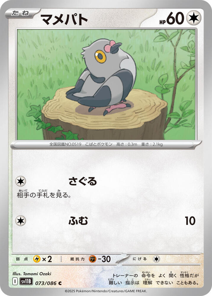 豆豆鴿