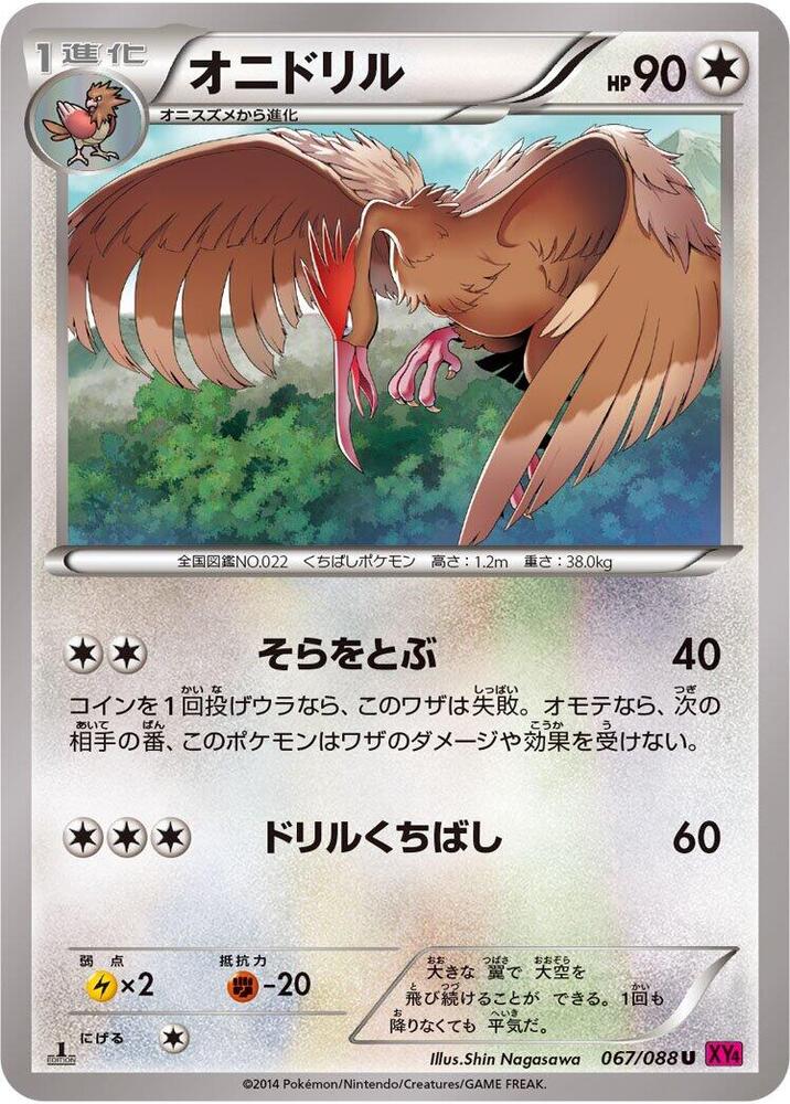 大嘴雀