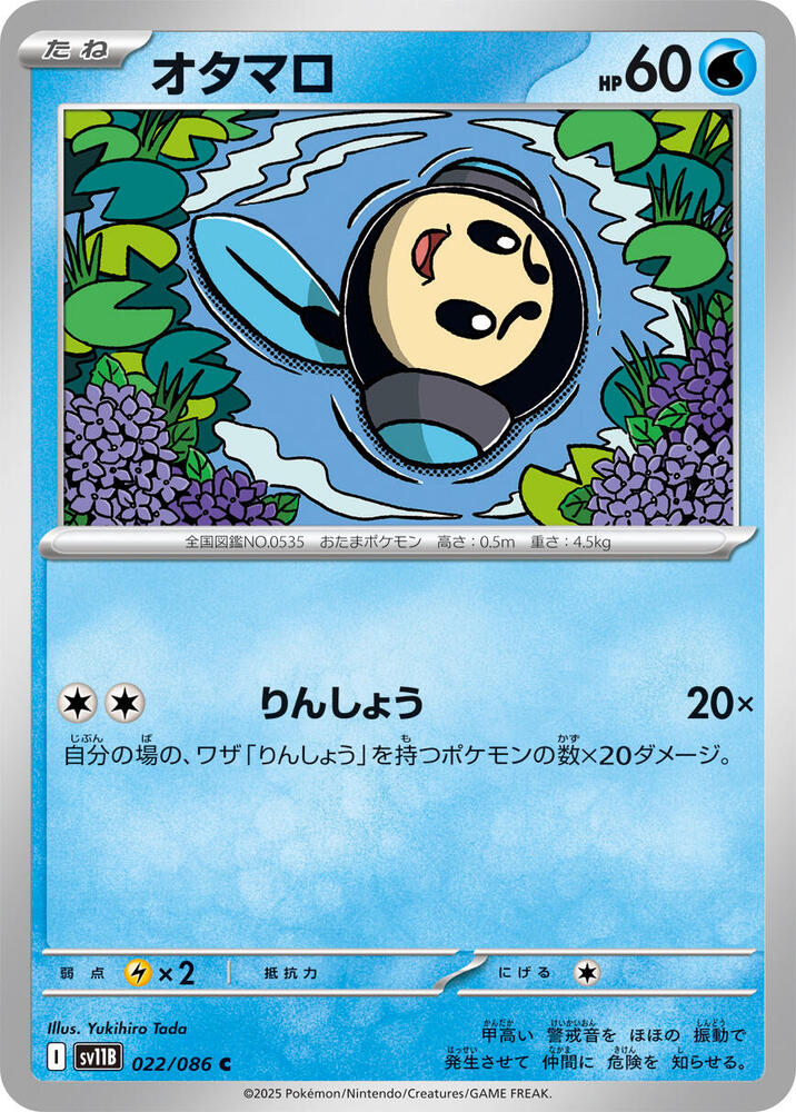 圓蝌蚪
