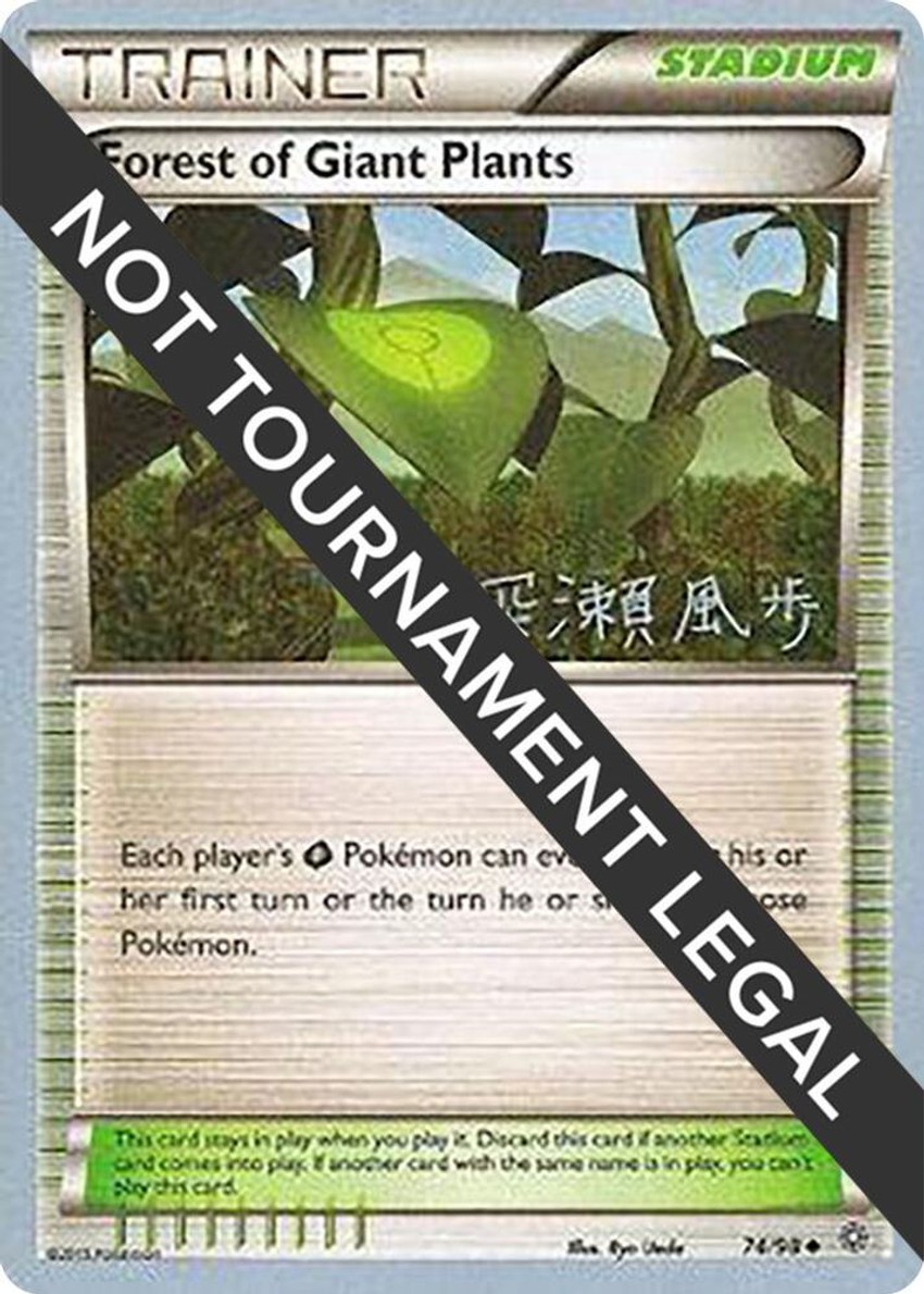 Forest of Giant Plants - 2017 (Kabu Fukase)