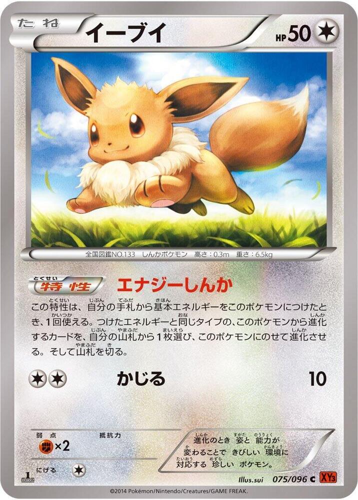 伊布