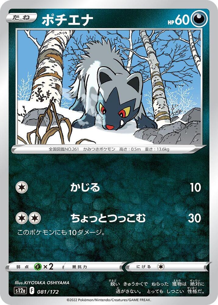 土狼犬