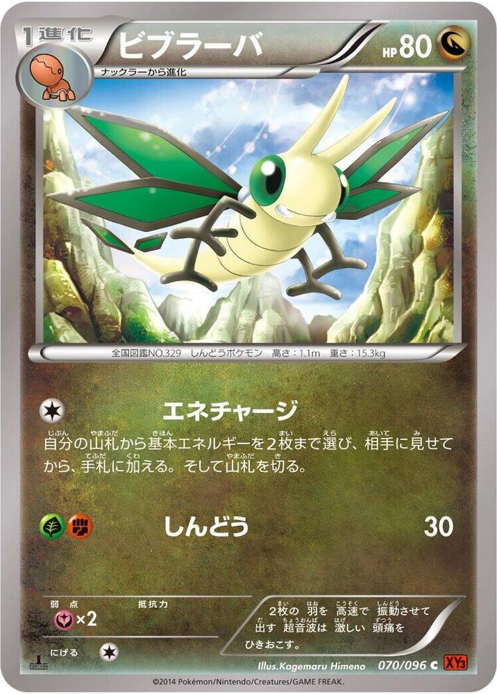 超音波幼蟲