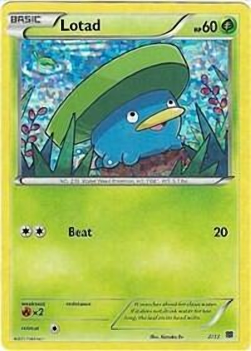 Lotad