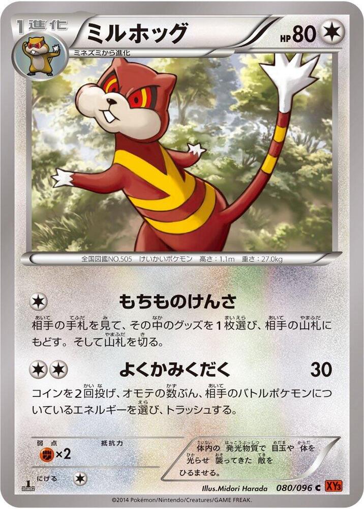 步哨鼠