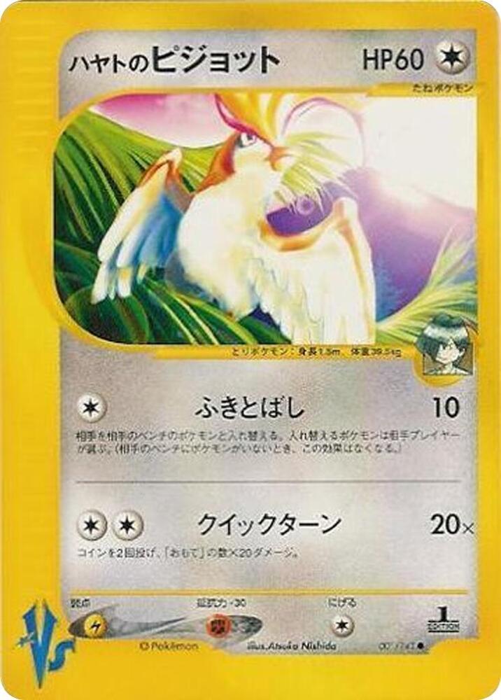 Falkner's 大比鳥