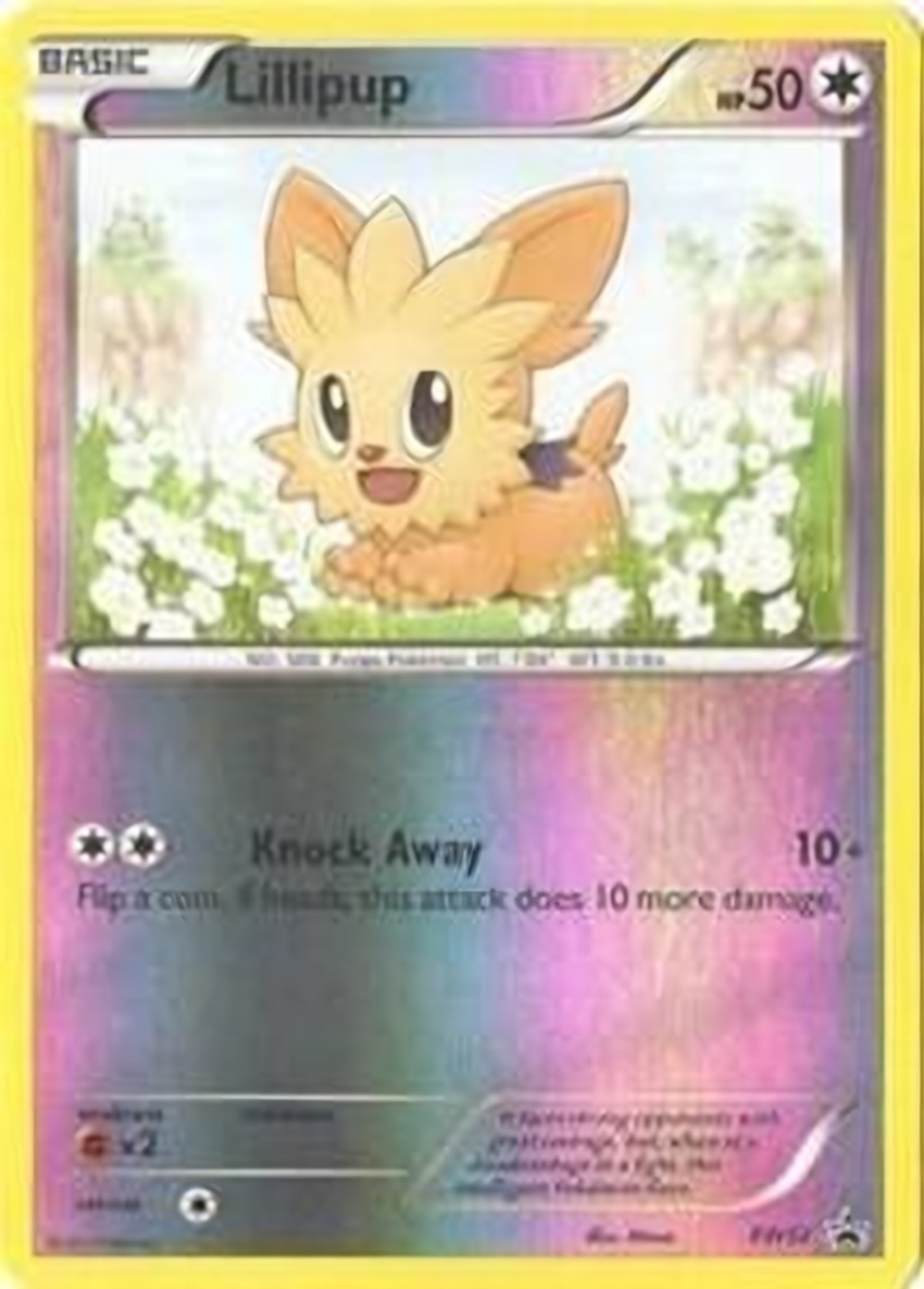 Lillipup - BW52