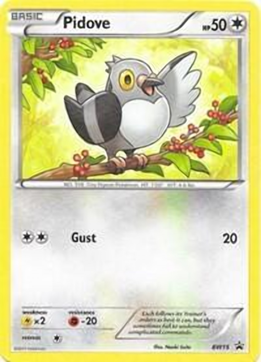 Pidove - BW15