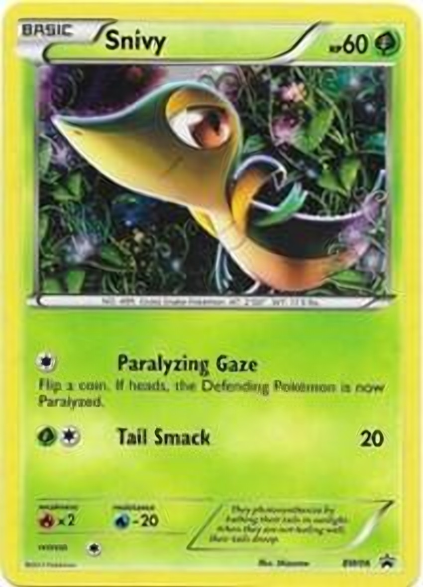 Snivy - BW06