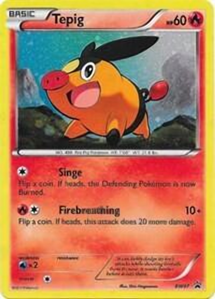 Tepig - BW07