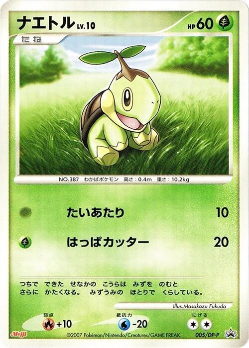 Turtwig