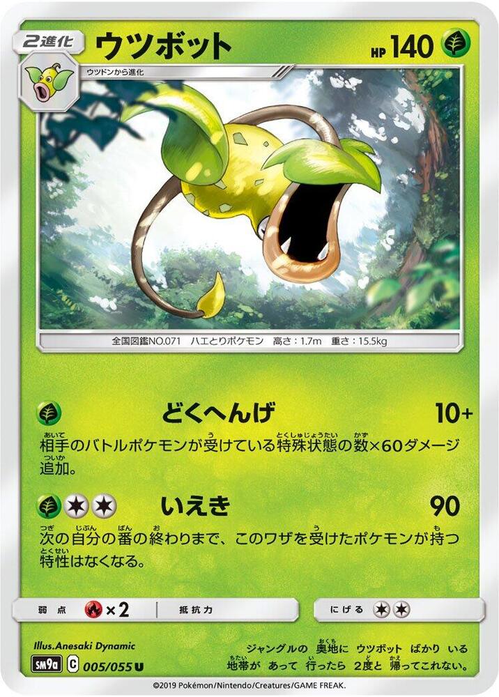 大食花