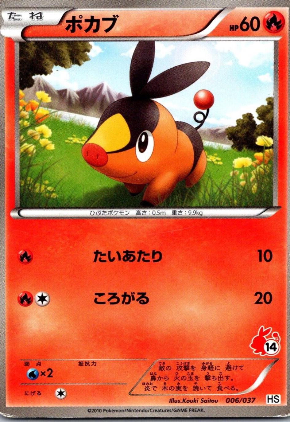 暖暖豬