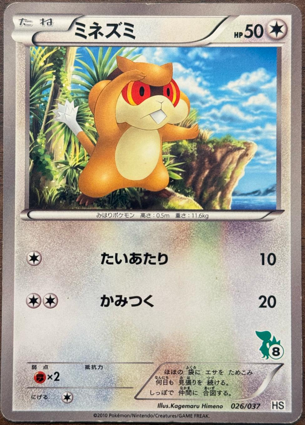 探探鼠