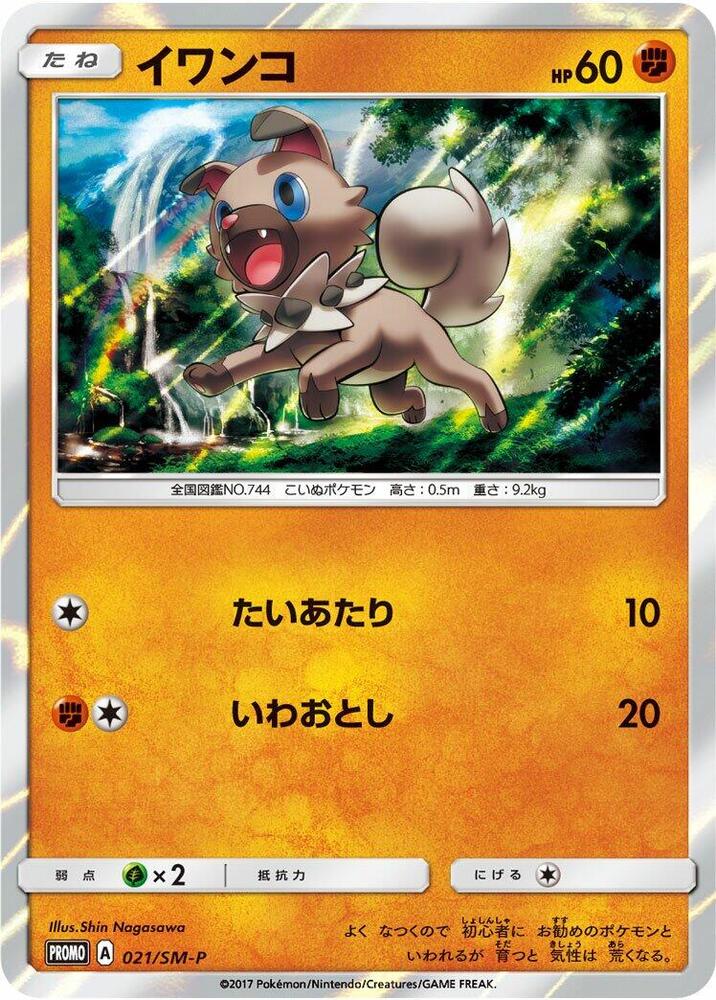 岩狗狗