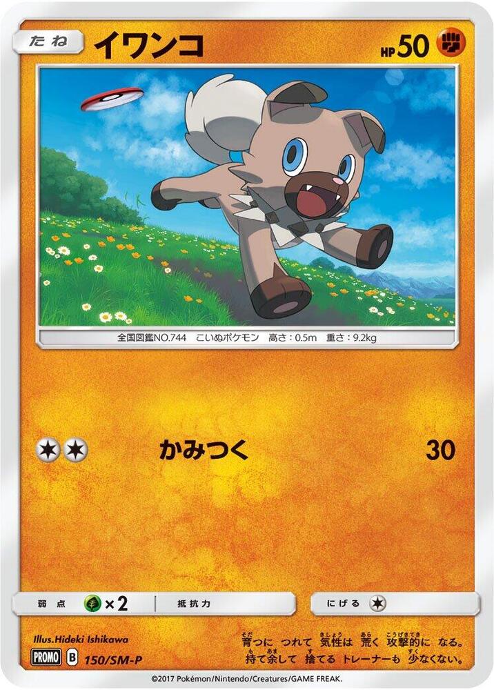 岩狗狗