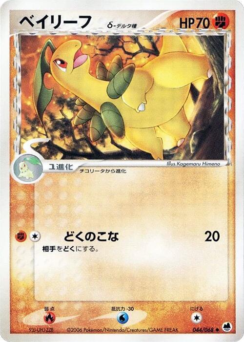 月桂葉 Delta Species