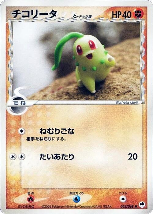菊草葉 Delta Species