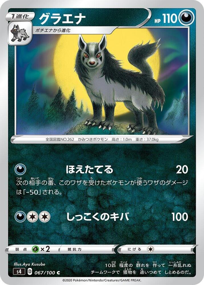 大狼犬