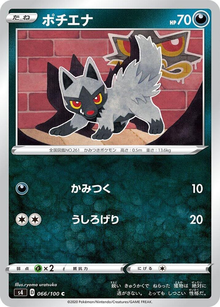 土狼犬