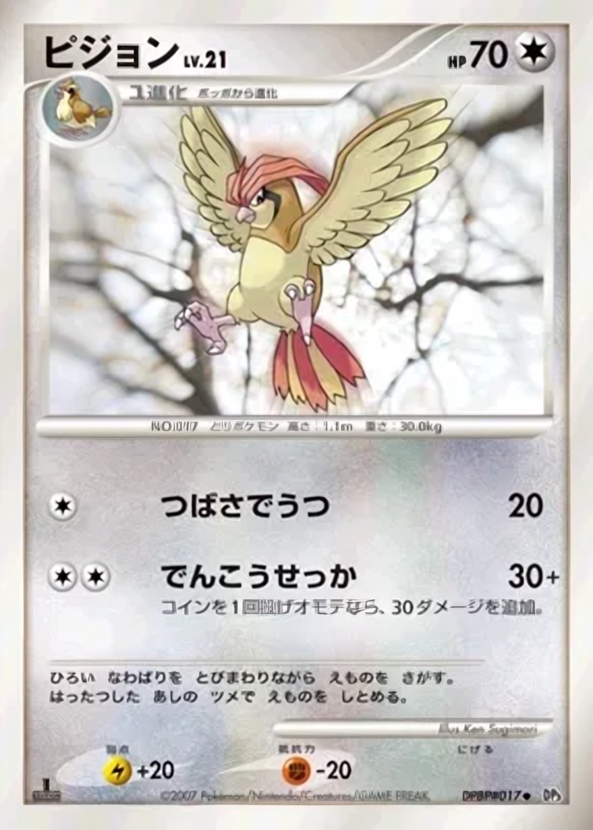 比比鳥