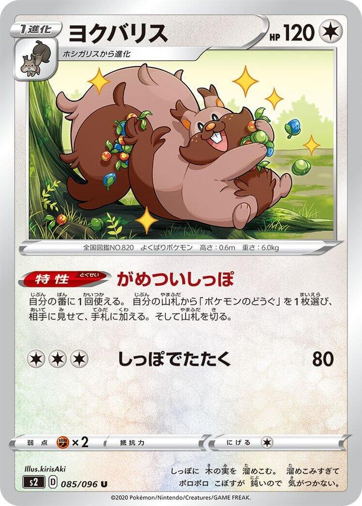 藏飽栗鼠