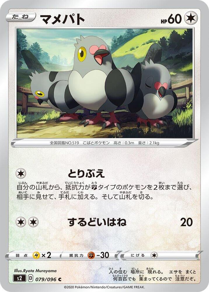 豆豆鴿