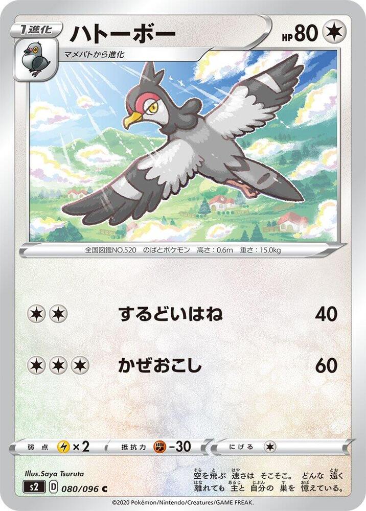 咕咕鴿