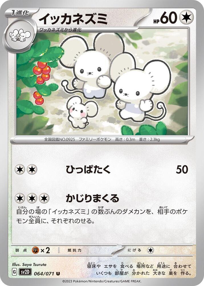一家鼠