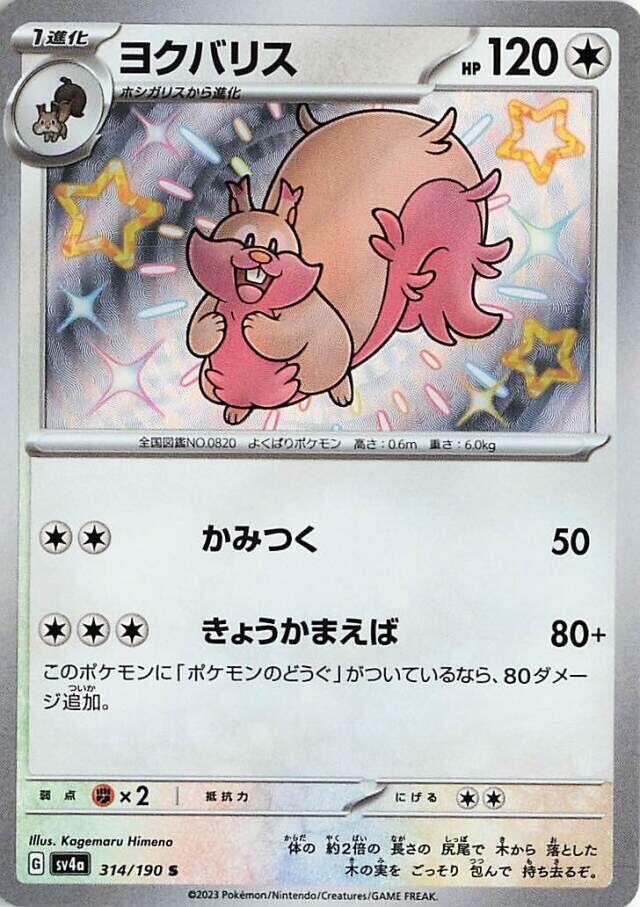 藏飽栗鼠